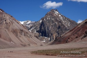 Trekking a Plaza de Mulas - Aconcágua