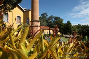 Brasiltal