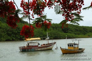 sul-bahia-202
