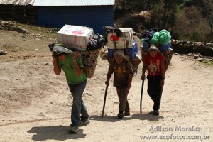 everest-00812
